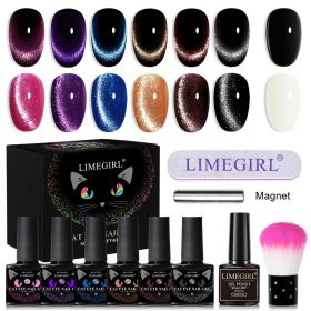 6pcs Cat Magnetic Gel Polish With Magnet Set Semi Permanent Glitter Nail Gel Soak Off UV Gel Nail Art Varnishes