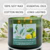 Fresh Eucalyptus Bergamot Candle 3 Wick | Natural Soy Wax Candle for Home, 15.8 Oz Large Aromatherapy Candle for Relaxation, Scented Candle for Women